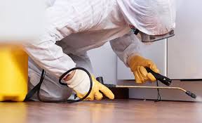 Best Real Estate Pest Inspections  in Rialto, CA